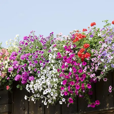 Apartman Alpensport Stubai - Tannenheim *